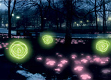 Experience Summer Glow During Winter