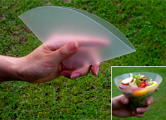 Foldable Bowl