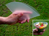 Foldable Bowl