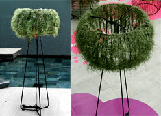 Sexy Lighting With Metal And Moss