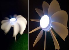 Self-sustaining Flower That Blooms At Dusk