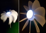 Self-sustaining Flower That Blooms At Dusk
