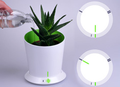 Thirsty Plants Demand Attention