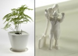 Adult Bonzai Planters (SFW)