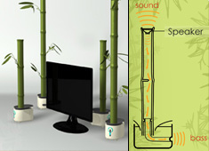 Grow A Bamboo To Get Better Sound