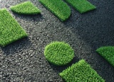 No Need to Water this Grass Eye