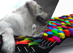 Rock-A-By-Doggie