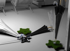 A Garden For My Umbrella