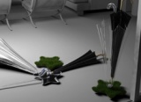 A Garden For My Umbrella