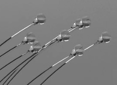 Dew-like Illumination