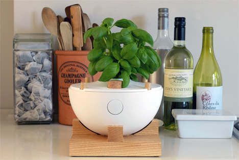 Eva Lamp For Plants by Alex Ward