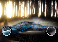 Is BMW Pixie A Fairy?