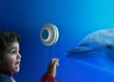 Getting To Know Your Fishes