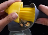 Squeezing Delight!