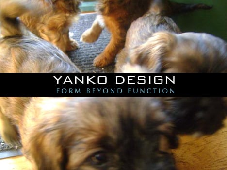 Top Ten Pet Designs on Yanko Design