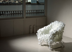 Feather or Leaf, I Love This Chair