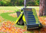Raking Up Some Fun