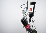 Mighty Wine Tree