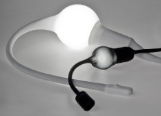 Snake Light Swallowing