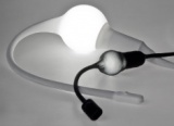Snake Light Swallowing