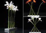 Flower Arrangements