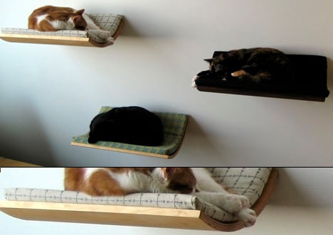 The Curve Pet Bed by Akemi Tanaka