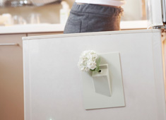 Flowers Growing from the Fridge