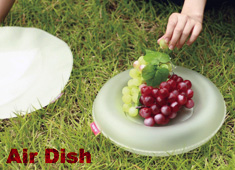 Better Than Disposable Plates