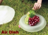 Better Than Disposable Plates