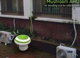 Cooler Than A Mushroom