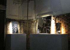 A Shape in the Broken Mirror