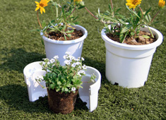 The Business Of Re-potting Plants