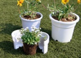 The Business Of Re-potting Plants