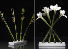 Friday Giveaway: Tweet And Win The Adaptation Vases