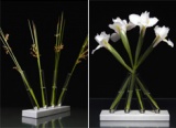 Friday Giveaway: Tweet And Win The Adaptation Vases