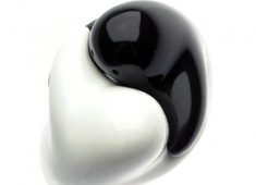 The Spicy Hug Of Yin And Yang