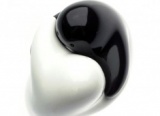 The Spicy Hug Of Yin And Yang
