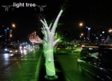 Light Tree
