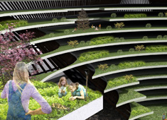 Massive Agricultural Urbanism