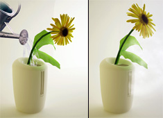 Nurturing A Digital Flower