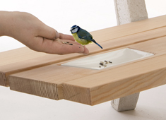 Do It for The Birdies
