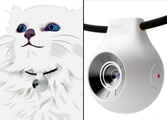 See What Your Pet Sees