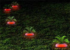 Mario Bros. Garden