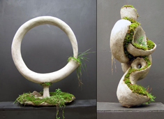 Grow Ye a Sculpture