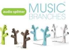 A Few Branches of Audio