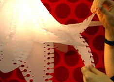 Seed of Light, Flower of Illumination
