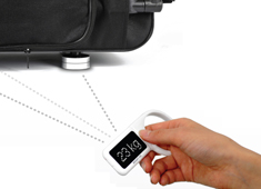Travel Scale