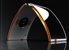 A New Set of P-Wings