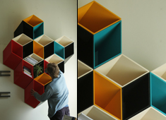 Second and a Half Dimension Shelves