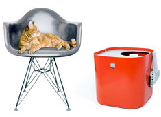 Underground Cat Bathroom